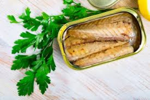 Canned Mackerel in Sunflower Oil