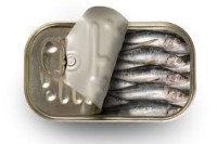 Sardine (Sardinella spp) in Sunflower oil