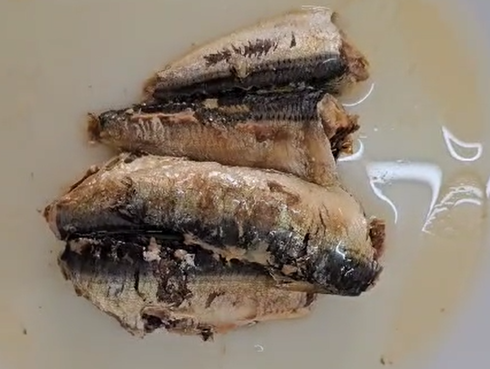 Canned Sardine in Sunflower oil