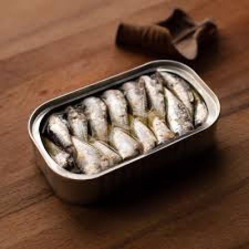 Canned sardine fish