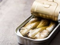 Canned sardine fish