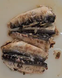 Canned Sardine in Sunflower oil